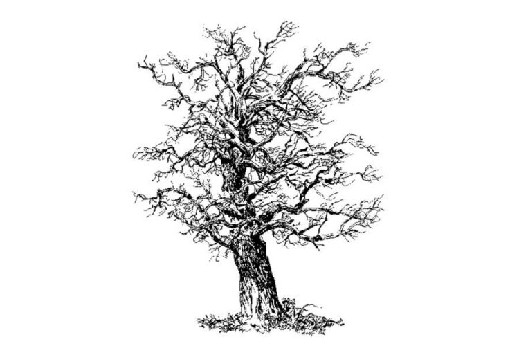 eiche-nachruf